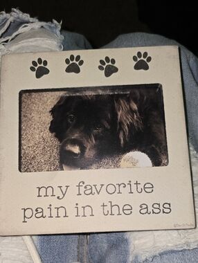 $5 - MUST BUNDLE -NWT Primitives by Kathy Cream Dog Photo Frame with Paw Accents